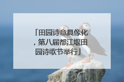 田园诗意具像化，第八届都江堰田园诗歌节举行