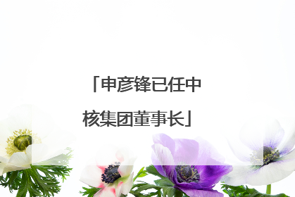 申彦锋已任中核集团董事长