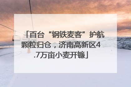 百台“钢铁麦客”护航颗粒归仓，济南高新区4.7万亩小麦开镰