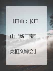 白山：长白山“新三宝”亮相文博会