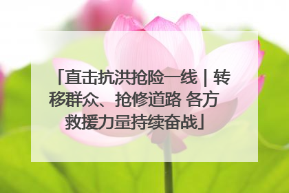 直击抗洪抢险一线｜转移群众、抢修道路 各方救援力量持续奋战