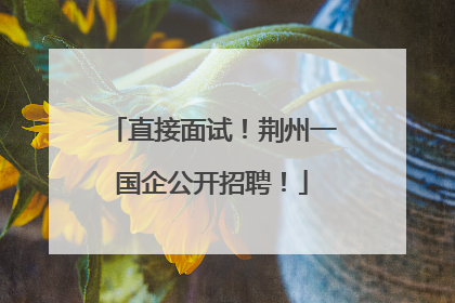 直接面试！荆州一国企公开招聘！