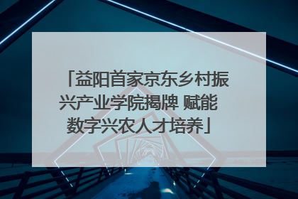 益阳首家京东乡村振兴产业学院揭牌 赋能数字兴农人才培养