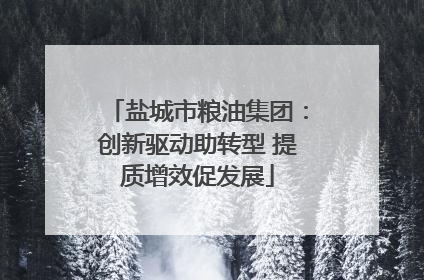 盐城市粮油集团：创新驱动助转型 提质增效促发展