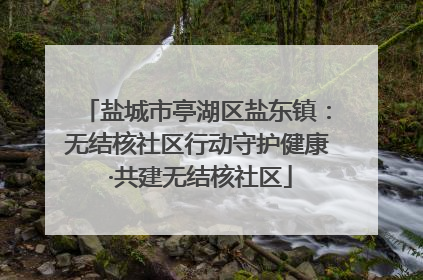 盐城市亭湖区盐东镇：无结核社区行动守护健康 ·共建无结核社区