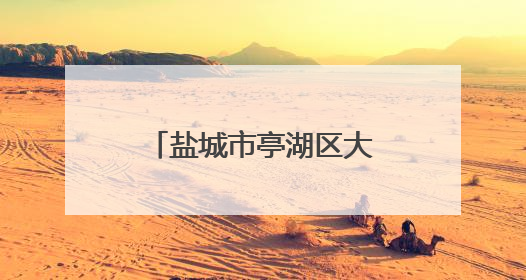 盐城市亭湖区大洋街道育才社区举办“欢乐粽动员”端午节活动