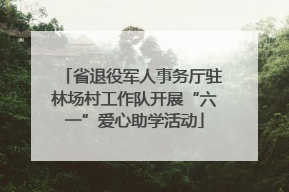 省退役军人事务厅驻林场村工作队开展“六一”爱心助学活动