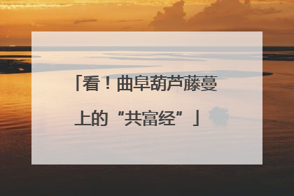 看！曲阜葫芦藤蔓上的“共富经”