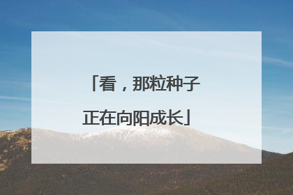 看，那粒种子正在向阳成长