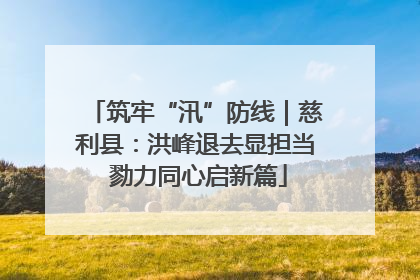 筑牢“汛”防线｜慈利县：洪峰退去显担当 勠力同心启新篇