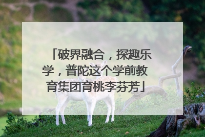 破界融合，探趣乐学，普陀这个学前教育集团育桃李芬芳