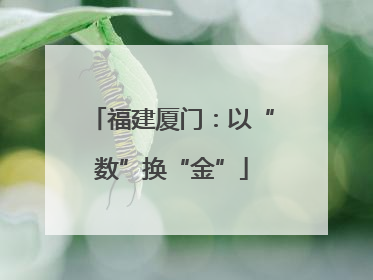 福建厦门：以“数”换“金”