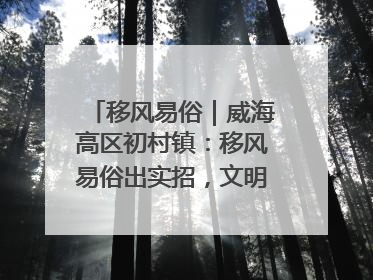 移风易俗｜威海高区初村镇：移风易俗出实招，文明新风拂人心
