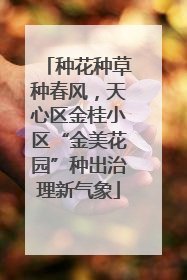 种花种草种春风，天心区金桂小区“金美花园”种出治理新气象