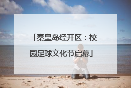 秦皇岛经开区：校园足球文化节启幕
