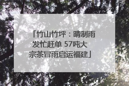 竹山竹坪：晴制雨发忙赶单 57吨大宗茶冒雨启运福建