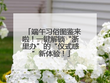 端午习俗图鉴来啦！一键解锁“浙里办”的“仪式感”新体验！