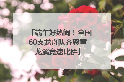 端午好热闹！全国60支龙舟队齐聚黄龙溪竞速比拼