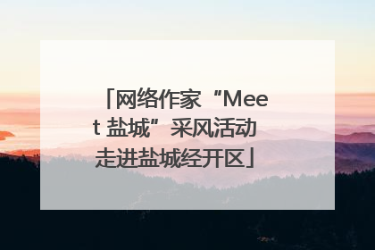 网络作家“Meet 盐城”采风活动走进盐城经开区