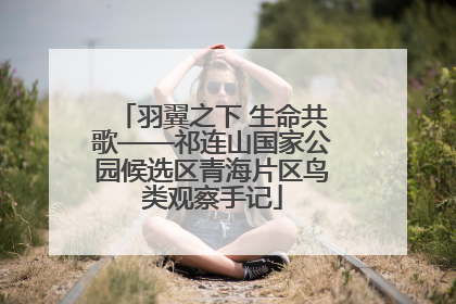羽翼之下 生命共歌——祁连山国家公园候选区青海片区鸟类观察手记