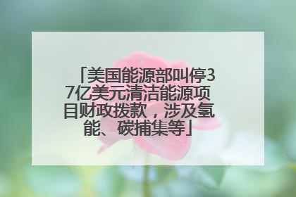美国能源部叫停37亿美元清洁能源项目财政拨款，涉及氢能、碳捕集等