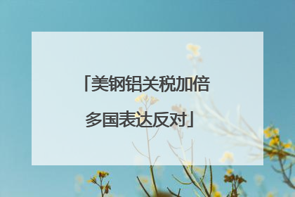 美钢铝关税加倍 多国表达反对