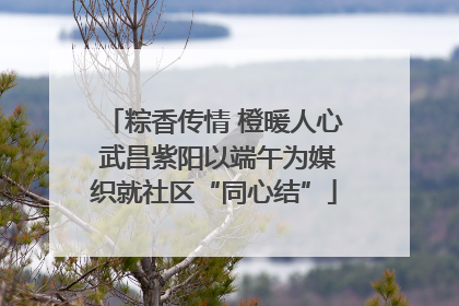 粽香传情 橙暖人心 武昌紫阳以端午为媒织就社区“同心结”