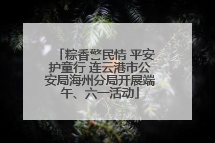 粽香警民情 平安护童行 连云港市公安局海州分局开展端午、六一活动