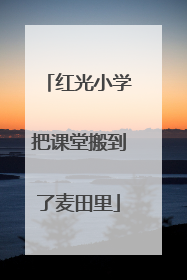 红光小学把课堂搬到了麦田里