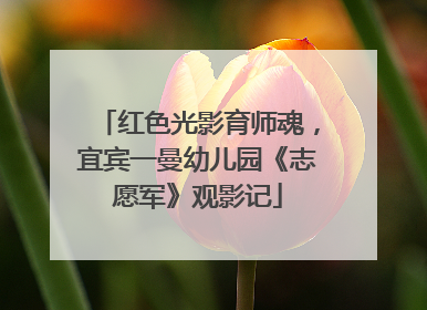 红色光影育师魂，宜宾一曼幼儿园《志愿军》观影记