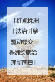 红观株洲丨法治引擎驱动蝶变 株洲绘就治理新图景