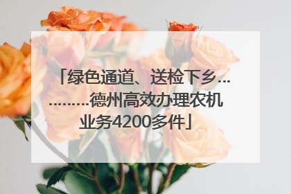 绿色通道、送检下乡…………德州高效办理农机业务4200多件