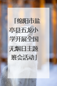 绵阳市盐亭县五龙小学开展全国无烟日主题班会活动