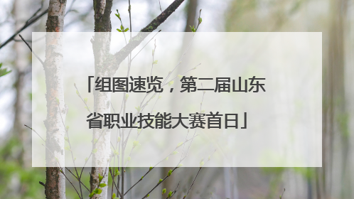 组图速览，第二届山东省职业技能大赛首日