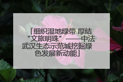 细织湿地绿带 厚结“文旅明珠”——中法武汉生态示范城挖掘绿色发展新动能