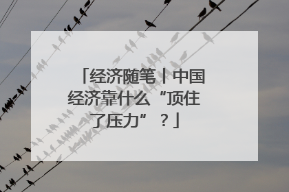 经济随笔丨中国经济靠什么“顶住了压力”？
