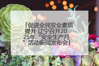 促进全民安全素质提升 辽宁召开2025年“安全生产月”活动新闻发布会