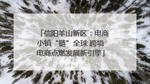 信阳羊山新区：电商小镇“链”全球 跨境电商点燃发展新引擎