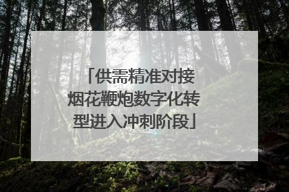 供需精准对接 烟花鞭炮数字化转型进入冲刺阶段