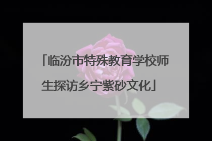 临汾市特殊教育学校师生探访乡宁紫砂文化