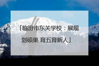 临汾市东关学校：展规划硕果 育五育新人