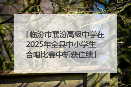 临汾市襄汾高级中学在2025年全县中小学生合唱比赛中斩获佳绩