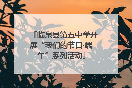 临泉县第五中学开展“我们的节日·端午”系列活动