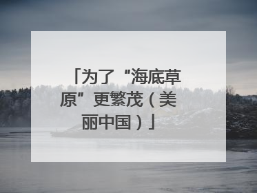 为了“海底草原”更繁茂（美丽中国）