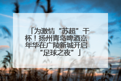 为激情“苏超”干杯！扬州青岛啤酒嘉年华在广陵新城开启“足球之夜”