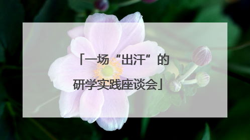 一场“出汗”的研学实践座谈会