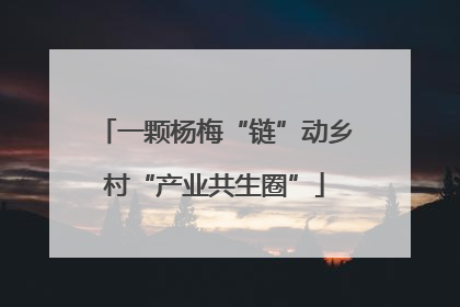 一颗杨梅“链”动乡村“产业共生圈”