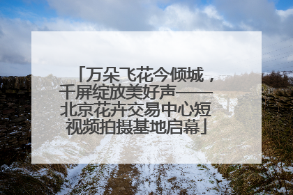 万朵飞花今倾城，千屏绽放美好声——北京花卉交易中心短视频拍摄基地启幕