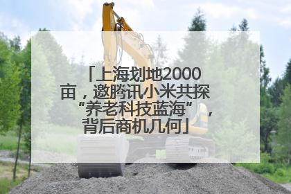 上海划地2000亩，邀腾讯小米共探“养老科技蓝海”，背后商机几何