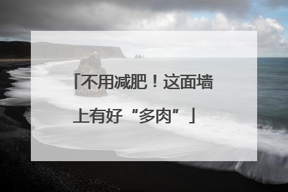 不用减肥！这面墙上有好“多肉”